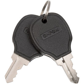 Global Industrial RP6494 Replacement Keys for Global Floor Scrubbers/Sweepers image.