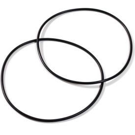 RPB SAFETY LLC 04-919 RPB Safety O-Ring, Set of 2 image.