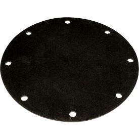 Allsource Service Port Gasket for Allsource Cabinet 42000