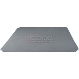 Scienfic Industries SI-1618 GENIE® SI-1618 Gray Non-Slip Mat for Low Speed, Pack of 1 image.