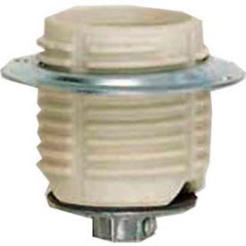 Satco Products Inc 80/1073 Satco 80-1073 Keyless Threaded Glazed Porcelain Socket w/ Cap - Ring  1/8 IPS image.