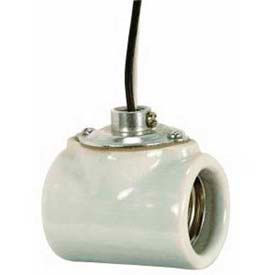 Satco Products Inc 80/1314 Satco 80-1314 Twin Glazed Porcelain Socket w/Flange Bushing Cap and 9-in. Leads image.