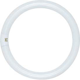 Satco Products Inc S6500 Satco S6500 Fc8t9/Cw/Rs 22w Fluorescent W/ 4 Pin Base - Cool White Bulb image.