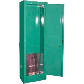 Securall  A&A Sheet Metal Products MG102 Securall® 2, D & E Cylinder, Vertical Medical Gas Cabinet, 14"W x 9"D x 44"H, Manual Close image.
