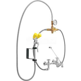 Speakman Co. SEF-9000-TW Speakman Eyesaver Service Sink Faucet with Thermostatic Mixing Valve, SEF-9000-TW, Chrome & Yellow image.