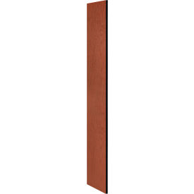 Salsbury Industries 22233CHE Side Panel 22233 for 18"D Extra Wide Designer Wood Locker without Sloping Hood Cherry image.