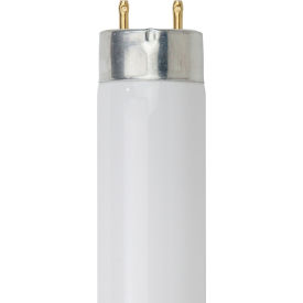 Sunlite® T8 Fluorescent Bulb G13 Base 25W 2300 Lumens 4100K Cool White Pack of 30