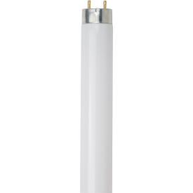 Sunlite® T8 Fluorescent Bulb G13 Base 25W 2300 Lumens 6500K Daylight Pack of 30