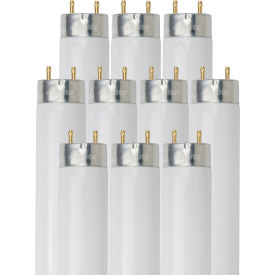 Sunlite® T8 Fluorescent Bulb G13 Base 25W 2300 Lumens 3500K Neutral White Pack of 10