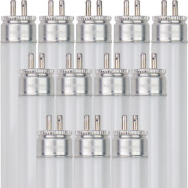 Sunlite® T5 Fluorescent Bulb G5 Base 54W 5000 Lumens 4100K Cool White Pack of 12