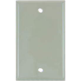 Sunlite® Blank Switch & Receptacle Plate 1-Gang Ivory Pack of 12