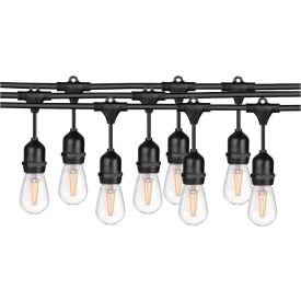 Sunlite® Commercial Grade String Light with LED Edison Bulbs 18 SJTW 1050 Lumens 24L Cord