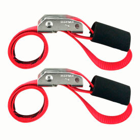 Snap-Loc® Cam Tie-Down Cinch Strap 1500 lb. Capacity 1" x 2' Pack of 2
