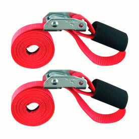 Snap-Loc® Cam Tie-Down Cinch Strap 1500 lb. Capacity 1" x 6' Pack of 2