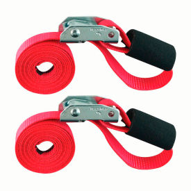 Snap-Loc Cargo Control Systems SLTC106CR2 Snap-Loc® Cam Tie-Down Cinch Strap, 1500 lb. Capacity, 1" x 6, Pack of 2 image.