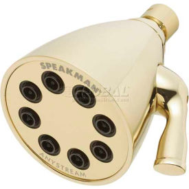 Speakman Co. S-2251-PB Speakman Anystream® Icon 8-Jet Shower Head, Polished Brass Finish, 2.5 GPM image.
