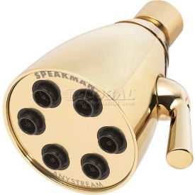 Speakman Co. S-2252-PB Speakman Anystream® Icon 6-Jet Shower Head, Polished Brass Finish, 2.5 GPM image.