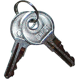 Rubbermaid® Set Of 2 Keys (Ch751) For Janitorial Carts