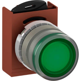 Springer Controls Co. Inc P9M-PLVGD ABB Illuminated Push Button Operator, 22mm, Green, Flush Style image.