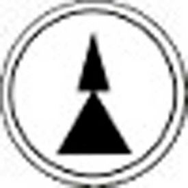 Springer Controls Co. Inc PRTA011MPI T.E.R., PRTA011MPI Two Speed Arrow White Button Insert, Use w/ MIKE & VICTOR Pendants image.