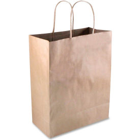 Cosco Premium Large Paper Shopping Bags, 13