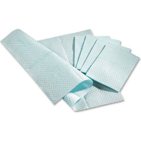Medline Industries, Inc NON24356B Medline NON24356B 2-Ply Tissue/Poly Professional Towels, 13"W x 18"L, Blue, 500/Box image.