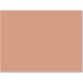 Pacon Corporation 6903 Pacon® SunWorks Groundwood Construction Paper, 12"x9", Light Brown, 50 Sheets image.