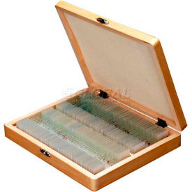 AmScope PS100E 100 pc. Homeschool Biology Prepared Microscope Slides with Wooden Case