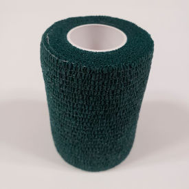 Think Safe Inc TS-3183-10G First Voice™ 3" x 5 Yards Self Adhesive Bandage, Latex , Kelly Green, Pack of 10 image.