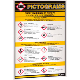 Top Tape And  Label Inc. GHS1010 INCOM® GHS1010 GHS Information Pictogram Wall Chart, 24" x 36" image.
