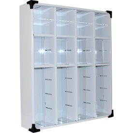 TrippNT® Wall Mounted Medical Suture Cubby 22-1/2"W x 5-1/8"D x 25-3/4"H 