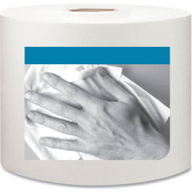 Spray & Wipe Cleaning Cloths