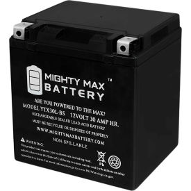 ECOM GROUP INC YTX30L-BS Mighty Max Battery YTX30L 12V 30AH / 385CCA Battery image.