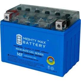 ECOM GROUP INC YTZ14SGEL Mighty Max Battery YTZ14 12V 11.2AH / 230CCA GEL Battery image.