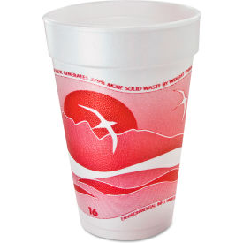 United Stationers Supply 16J16H Dart® Horizon® Hot/Cold Foam Drink Cups, 16 oz, Printed, Cranberry/White, Pack of 1000 image.