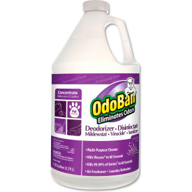 OdoBan Concentrate Odor Eliminator And Disinfectant, Lavender Scent, 1 Gal Bottle, 4/Carton
