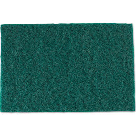United Stationers Supply S960 AmerCareRoyal® Medium-Duty Scouring Pad, Green, 60 Pads/Case image.