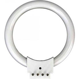 UNITED SCOPE LLC. FRL12B AmScope FRL12B 12W Fluorescent Ring Light Bulb image.
