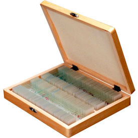 UNITED SCOPE LLC. PS100D AmScope PS100D 100 pc. Anatomy Botany Prepared Microscope Slides with Wooden Case image.