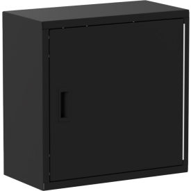 Valley Craft® Wall Mountable Storage Cabinet 24"W x 12"D x 24"H All-Welded Black RH 