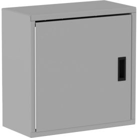 Valley Craft® Wall Mountable Storage Cabinet 24"W x 12"D x 24"H All-Welded Silver LH 