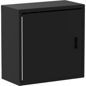 Valley Craft® Wall Mountable Storage Cabinet 24"W x 12"D x 24"H All-Welded Black LH 