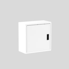 Valley Craft® Wall Mountable Storage Cabinet 24"W x 12"D x 24"H All-Welded White LH 