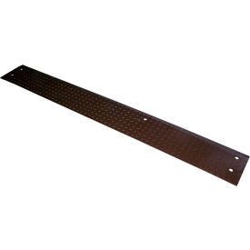Steel Edge-O-Dock Leveler Approach Plate 12"L x 96"W view 2
