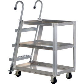 Aluminum Stock Picker w/Steel Ladder, 1000 lb Capacity, 40"L x 21-7/8"W x 50-3/16"H view 2