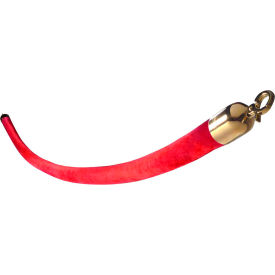 Visiontron 840RD72HE-PB1 Visiontron Velvet Rope 6 Red Rope Polished Brass Effect Hinged Ends, 1-1/2 Diameter image.