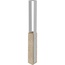 Wausau Tile® Collaboration Vault Bike Bollard Medium/Square 2-Bike Capacity Gray/Aluminum 