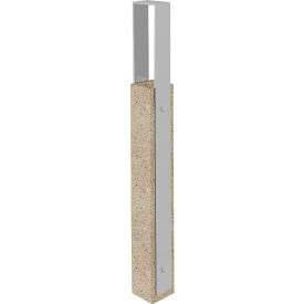 Wausau Tile® Collaboration Vault Bike Bollard Tall/Square 2-Bike Capacity Gray/Aluminum 