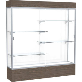Reliant Lighted Display Case 72