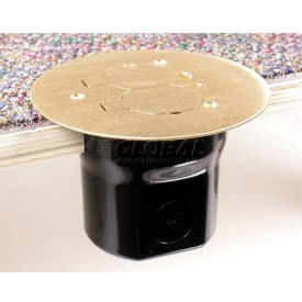 Wiremold 862CK-1/2 Floor Box W/896CK-1/2 Carpet Brass Cover